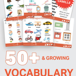 Learn American English with Audio Visual Vocabulary Flashcards