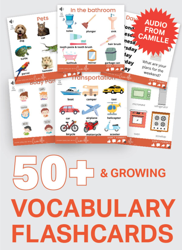 Learn American English with Audio Visual Vocabulary Flashcards